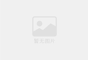 精淀粉